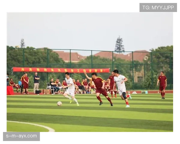 曹圭成强势复苏，身体对抗优势助球队赛季回暖