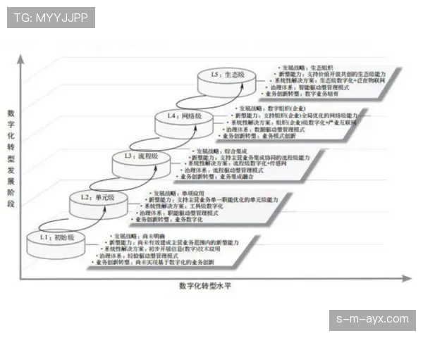 《阿什拉夫领导力评价驱动企业转型：创新阶段趋势深度解析》